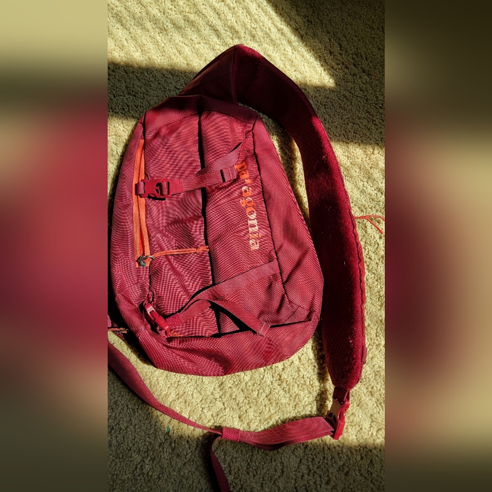 Patagonia Red Men's Backpack